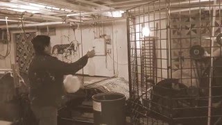 1860s Wool Carding Mill in Action [upl. by Ochs263]