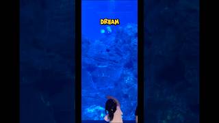 Dive into a Dream Job “Aquarist” [upl. by Nnodnarb469]