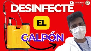 ✍️CÓMO DESINFECTAR EL GALPÓN DE LOS POLLOS DE ENGORDE🐔 COMO CRIAR POLLOS DE ENGORDE EN CASA🛀 [upl. by Martina]