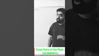 Green Parts of Plants PHOTOSYNTHESIS biology science [upl. by Cynara]