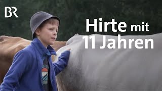 Ferien auf Allgäuer Alpe Kleinhirte mit 11 Jahren  Zwischen Spessart und Karwendel  BR [upl. by Airdnas]