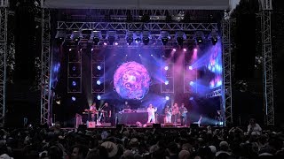 Fat Freddys Drop Trickle Down Live at Hagley Park 2019 [upl. by Kadner]