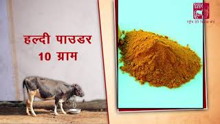 Ethnoveterinary formulation for Fever Hindi [upl. by Lynsey]