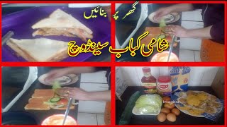 Shami Kabab Sandwich  Spice Nice [upl. by Kerrill236]