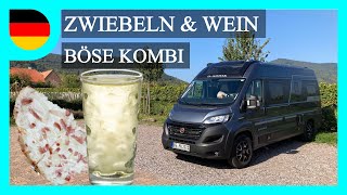 Pfälzer Weinstraße mit dem Wohnmobil  Hainfeld  Burrweiler  Forst  Deidesheim [upl. by Hermione]