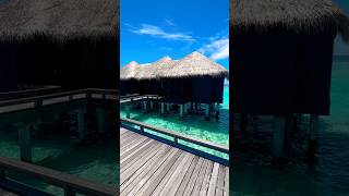 Wow what a view  Maldives water villa  water bungalow  Sheraton Maldivesshorts travel maldives [upl. by Notyap]