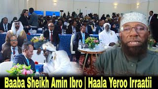 Gingilchaa sheikh amin ibro  haala yeroo irrati [upl. by Oyam904]