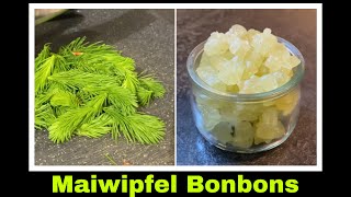 zuckerfreie Maiwipferl Bonbons  Rezept  Fichtennadel Bonbons selber machen  Selbstversorgung [upl. by Adnohsirk]