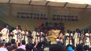 Eritrean Festival 2014 Zoba Debub Performance [upl. by Nossaj3]