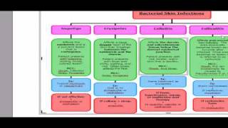 USMLE ALGORITHMS Bacterial Skin Infections [upl. by Ennasus278]