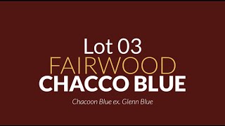 Lot 03  Fairwood Chacco Blue Chacoon Blue ex Glenn Blue [upl. by Lief670]