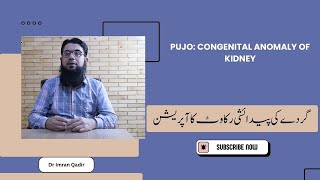 PUJO congenital anomaly of kidney گردے کی پیدائشی رکاوٹ کا آپریشن Dr Imran Qadir [upl. by Alvis521]