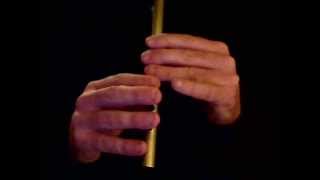 Hunting the Hare  Irish Whistle Tutorial  Tradschool [upl. by Amahcen]