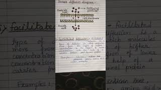 Passive amp Active transport types Simple amp facilitated diffusion [upl. by Yracaz134]