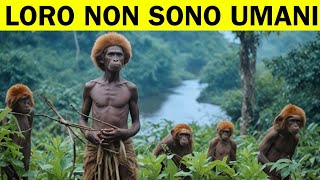 Scoperta Spaventosa In Congo Che Ha Terrorizzato Il Mondo [upl. by Magan]