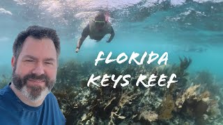 Snorkeling in Florida keys [upl. by Otilrac921]