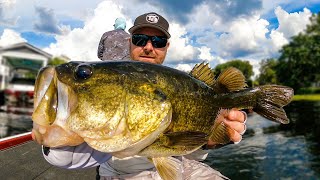 Chatterbait and Topwater Exploring New Lake During ICAST [upl. by Anilehs]