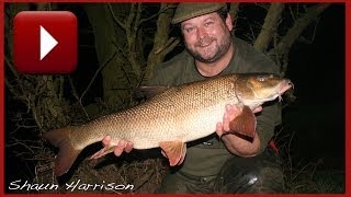 BARBEL FISHING  FREE SPIRIT River Barbel [upl. by Sumetra135]