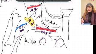 Lymphatics of UPPER amp LOWER Limb  MADE EASY [upl. by Brunella]