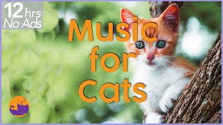 NO ADS 12 Hours of Extremely Relaxing Cat Music [upl. by Floro]