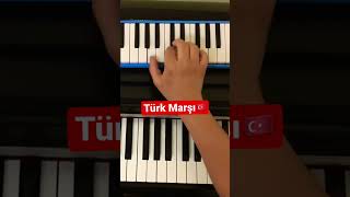 🇹🇷Türk MarşıMelodika Profesörü🪗 [upl. by Nilloc14]