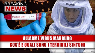 Allarme Virus Marburg Cosè e Quali Sono I Terribili Sintomi [upl. by Eirojram]