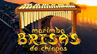 Marimba De Chiapas Mix  marimba chiapas para bailar 2023 [upl. by Annmaria149]