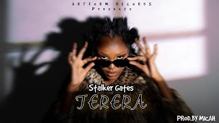 Stalker Gates  Terera prodby Micah Virtualizer [upl. by Eldrida]