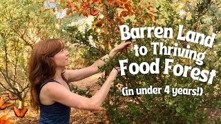 How I created my Permaculture Food Forest [upl. by Namyl]