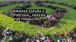 Emigrar 2024 España o Portugal arraigo por formación [upl. by Eillac]