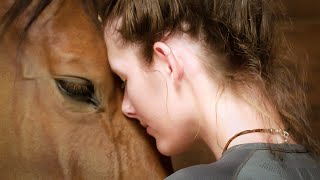 The 24 Behaviors of the Ridden Horse in Pain Shifting the Paradigm of How We See Lameness [upl. by Tierney491]