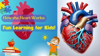 quotHow the Heart Works Fun Learning for Kidsquot [upl. by Kingdon]