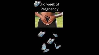 What to expect 3rd week of pregnancypregnancyjourney MommyBabyPlanet [upl. by Antonia]