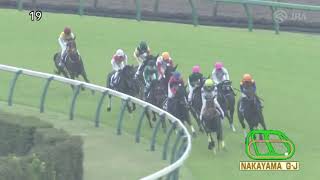 20230415 Nakayama Grand Jump JPN  Irogotoshi [upl. by Trammel66]