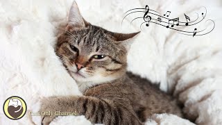 Calming Sleep Music for Cats with cat purring sounds  Deep Relaxation amp Anxiety Relief [upl. by Rudolfo]