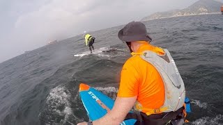 SUP Downwinding  2017 Starboard Ace vs 2016 SIC Bullet 14v2 [upl. by Dennie970]