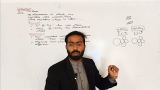 Isomorphism  Properties of crystalline solid  11th class chemistry  chno4 [upl. by Hnirt]