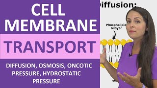 Cell Membrane Transport Passive amp Active Diffusion Osmosis Hydrostatic Oncotic Pressure Colloid [upl. by Joacima]