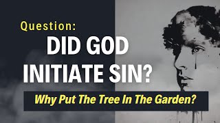 Did God Initiate Sin  Touching Mystery  Gods Original Plan [upl. by Clite]