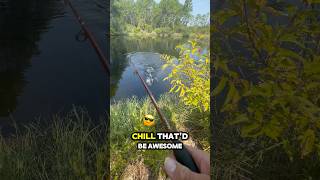 🐊ALLIGATOR EATS MY LURE bassfishing fishing fishingvideo fishtok fyp comedy [upl. by Lira375]