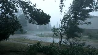 Cedar Rapids Iowa Derecho100mph wind [upl. by Hadik1]