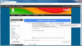 How to create a label in Moodle [upl. by Ladnyk8]