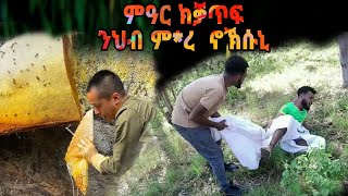 🏮ኣብደይኾን ቦታ ንህብ ኖኽሱኒ። ሕንዚ መውፀኢ ስእነ Wejerat Show ናስሓቕጉተራ [upl. by Dnumsed]