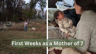 First weeks postpartum on the farm with a newborn  Large Family [upl. by Bonne]