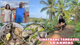 GINATAANG TAMBAKOL SA KAMIAS  SINIGANG SA KATMON NA TAMBAKOL  PAGBILI NG ISDA SA TABING DAGAT [upl. by Luy]