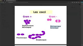 Bacteriologie  Staphilocoque Aureus FMPC [upl. by Airotal]