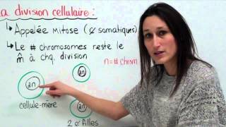 18 Sciences 9e Le cycle cellulaire [upl. by Pros]