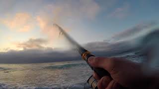 Sea trout Brown trout and Bass in remote North Scotland [upl. by Richter]