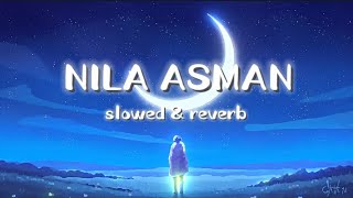 NILA ASMAN  Slowed reverb song [upl. by Berl600]