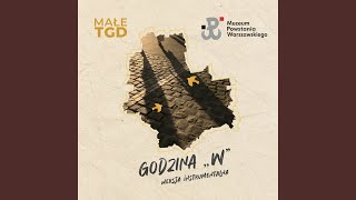 Godzina W Wersja Instrumentalna [upl. by Ainsley]